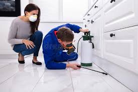 Best Residential Pest Control  in Haines, AK