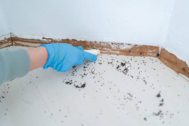 Best Pest Control for Multi-Family Homes  in Haines, AK